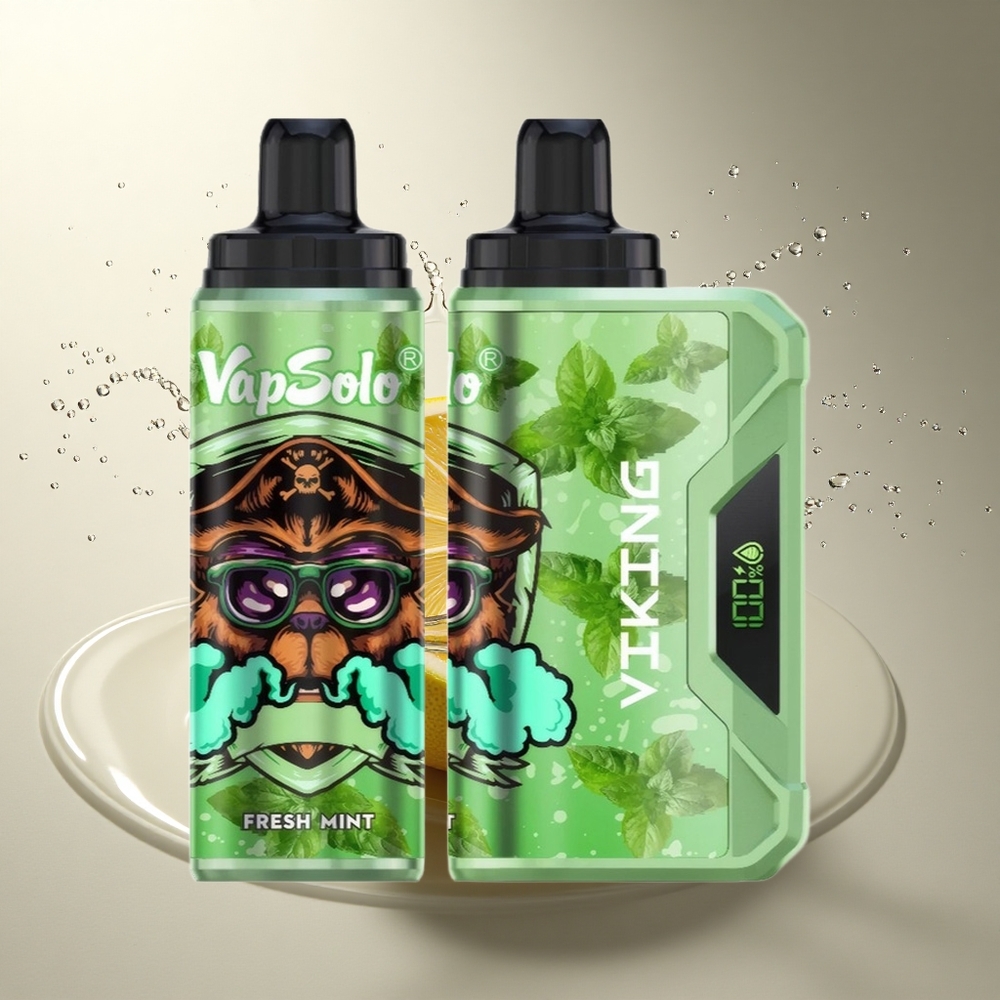 VapSolo VIKING 12000 Puffs Menta Fresca 22ml Nicotina