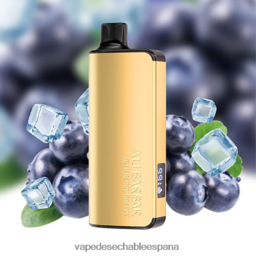 Alibarbar Ingot 20000 vaporizadores desechables brisa de arándanos 402HB232 Vape Bang Box 12000