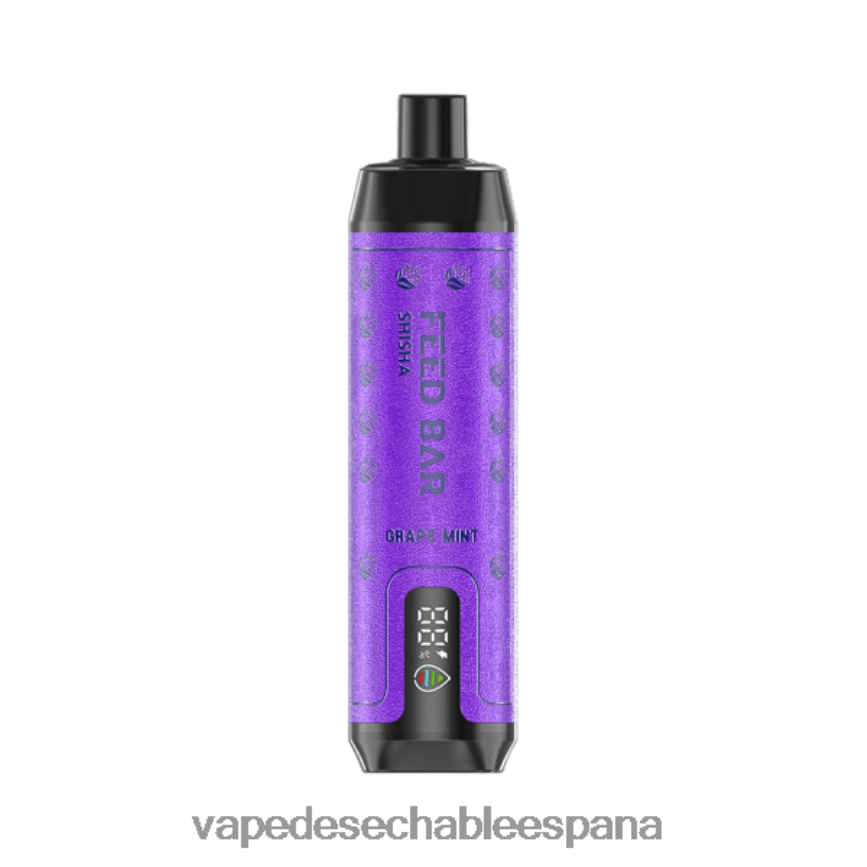 Vapsolo SHISHA vaporizador desechable menta de uva 402HB2118 Vape Recargable