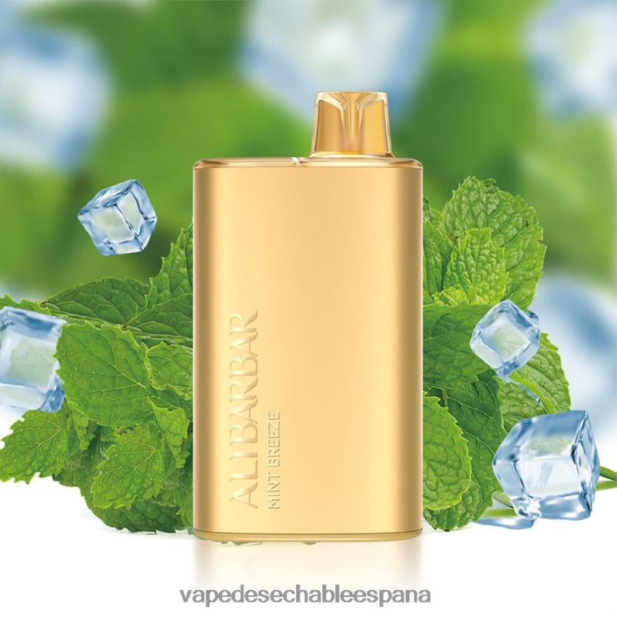 Alibarbar Rich 8000 vaporizadores desechables brisa de menta 402HB28 Vape Recargable